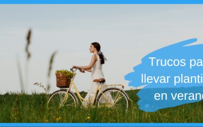 Trucos para llevar plantillas en verano
